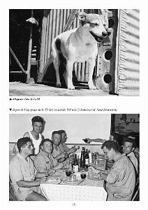 DE PERIGNON A TINDOUF DE CLAUDE MILLE_000115